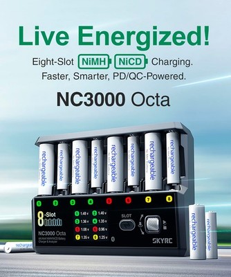 超夏安売り　超韋駄天　SKYRC NC3000 Octa ＆ネオチャンプ8本 SKYRC NC3000 Octa NiMH NiCD Battery Charger 8-Slot 48W AA/AAA