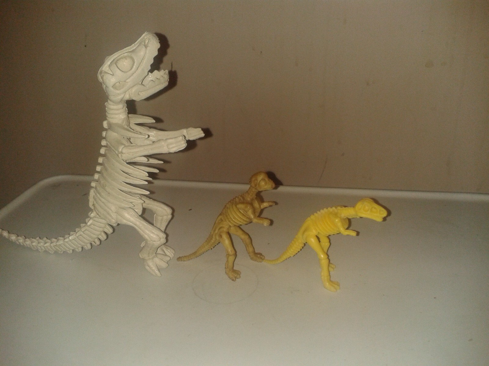 Picture 6 of 9