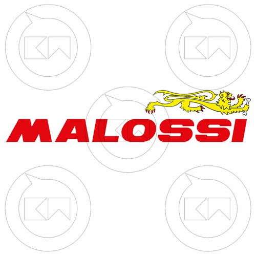 NUOVO ALBERO MOTORE MALOSSI RHQ MHR SPINOTTO Ø16 538906 GILERA RUNNER 125-180 2T - Picture 3 of 4