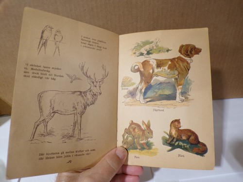 1900s Vara Alsklingar Swedish Softcover children's Book #821 Some Color Photos - Foto 7 di 10