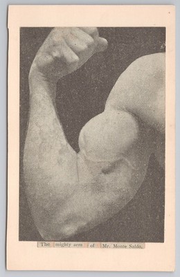 Vintage Monte Saldo der mächtige Arm Bizeps Flex Maxalding Strongman Sammelkarte