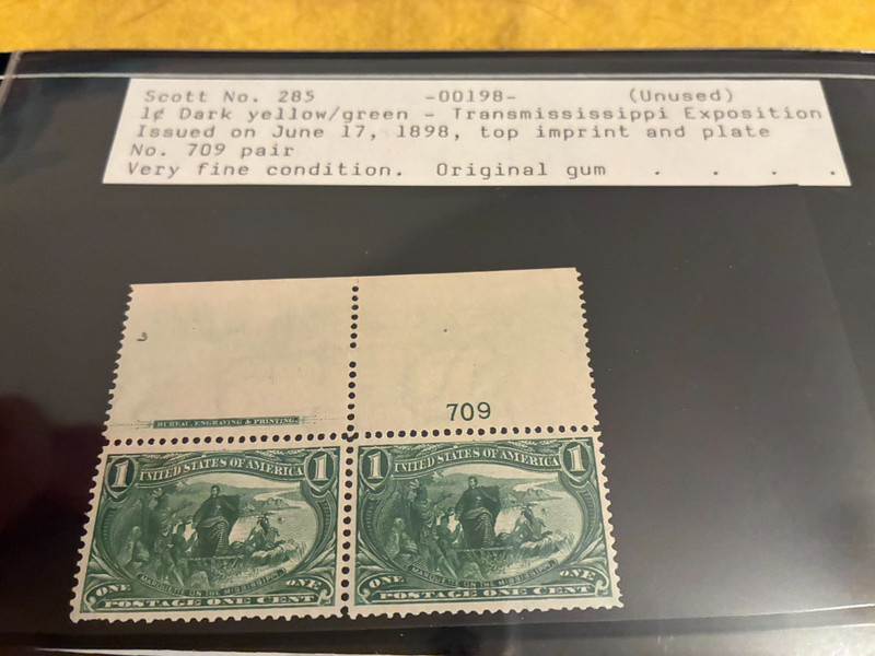 US Stamps Scott # 285 Green $0.01 Trans-Mississippi Expo. Plate # Pair - Mint OG