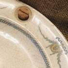 Foto 1 di 6