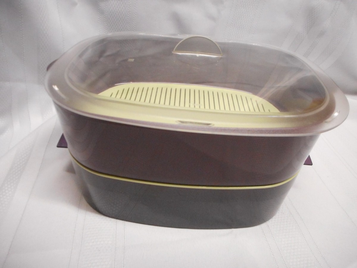 Tupperware ピクニックセット Tupperware picnic - Etsy 日本