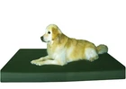 XXL Green Canvas Pet Dog Orthopedic Waterproof Memory Foam 55x37x4 For Large Dog