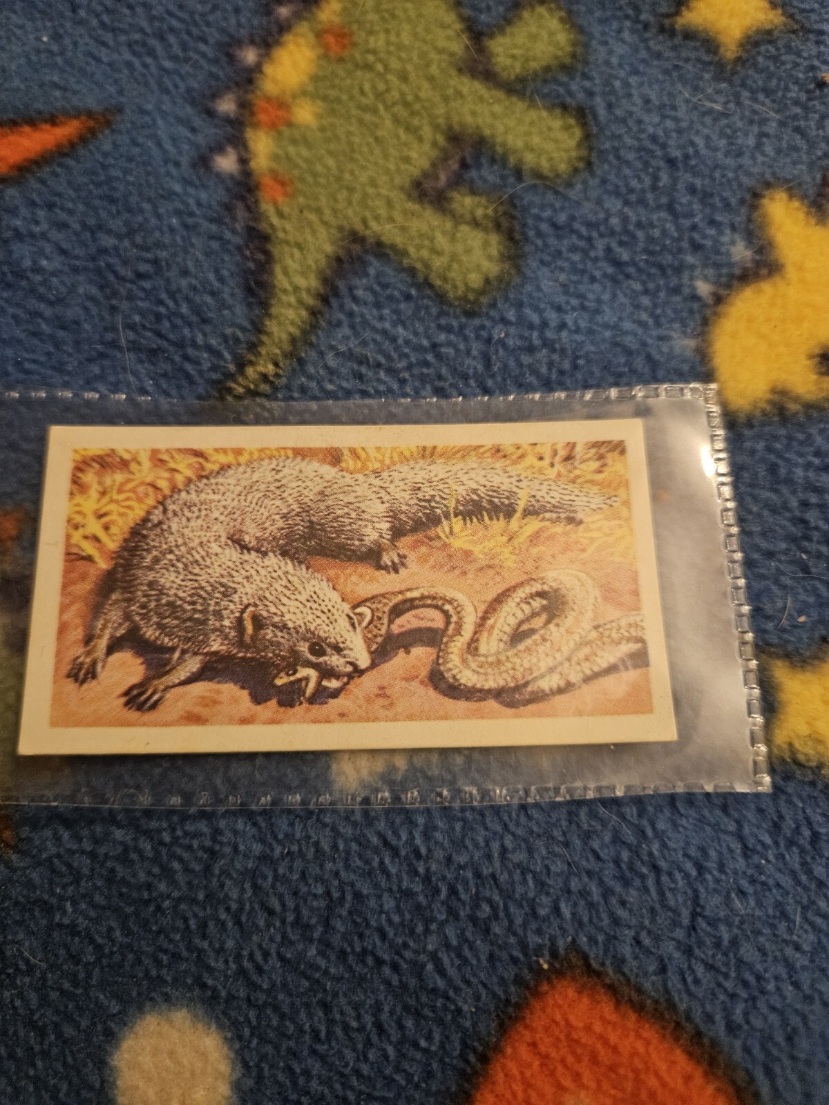 Picture 1 of 2
