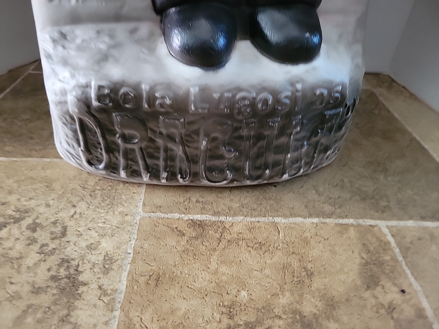 Picture 10 of 16