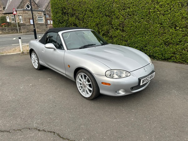 Image Placeholders2_edited.jpg