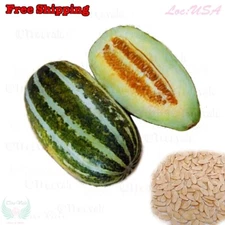 Fragrant Musk Melon seeds | Dua Gang, Thai Muskmelon, Vietnam Melon Seeds