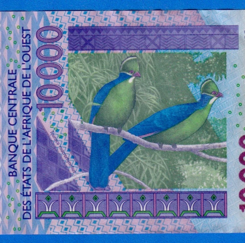 Mali - West African States CFA 10000 Francs 2006 P-418Dd  Circulated 06536126930 - Image 4 of 4