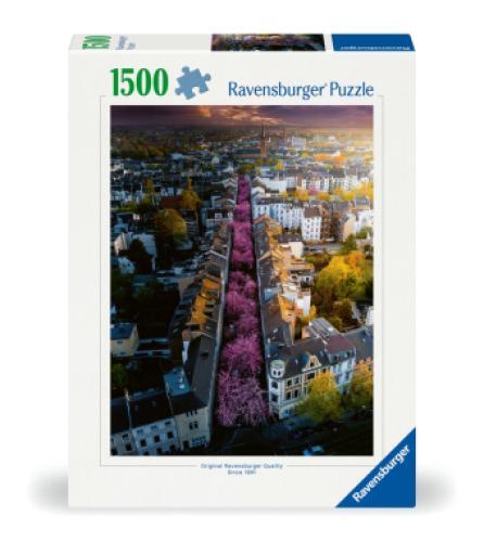 Blühendes Bonn 7814