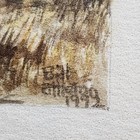 Bild 5 von 11