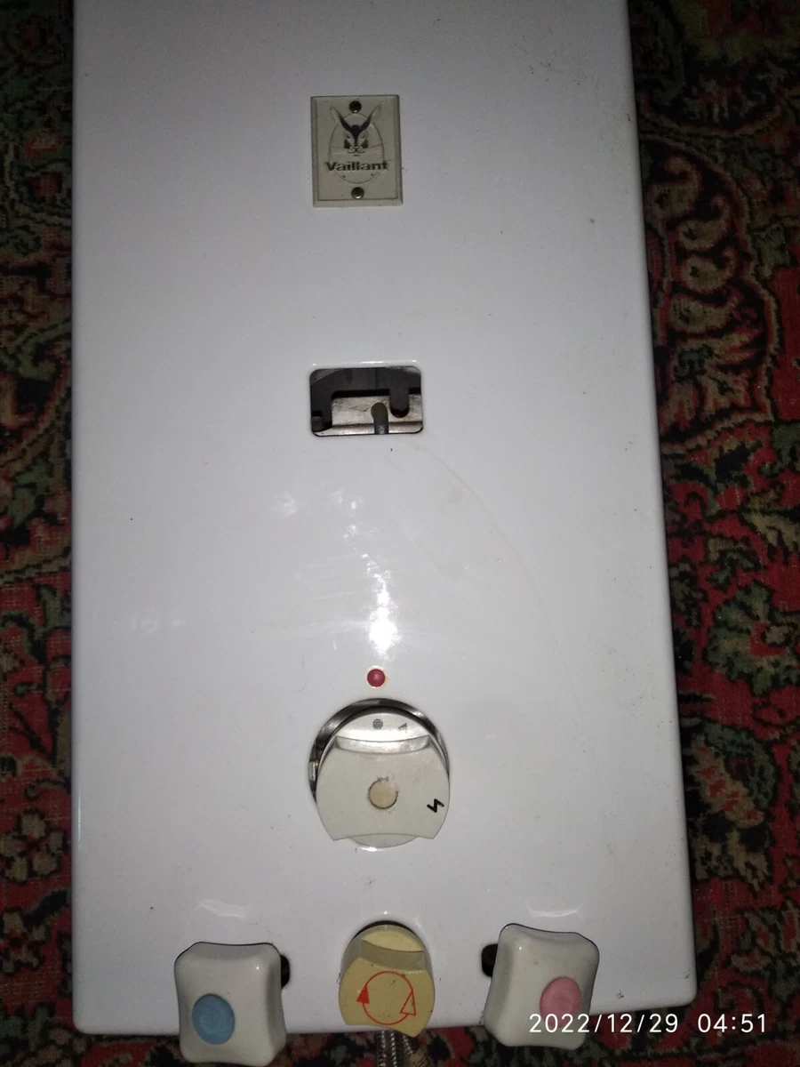 Propane water heater Vaillant | eBay
