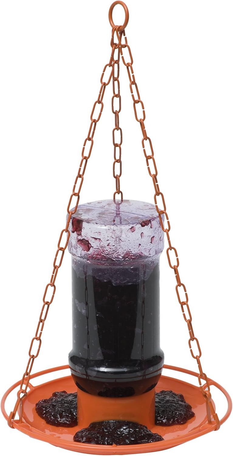 With 32oz Jar Fresh Grape Jelly Attracts Birds
