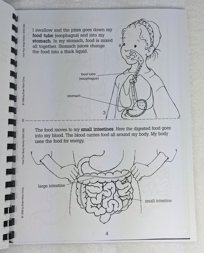 Evan-Moor Brand "Learning About My Body" Workbooks Plus Teacher Copy Set of 6 - Picture 4 of 10