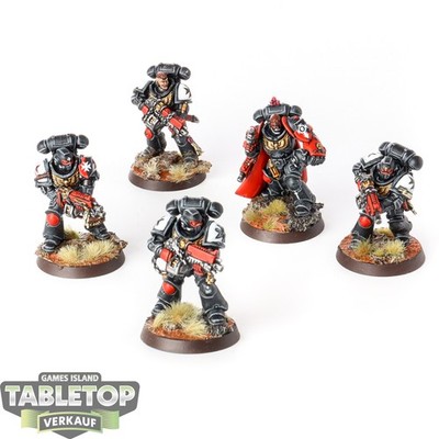Black Templars - 5 Intercessor Squad - bemalt
