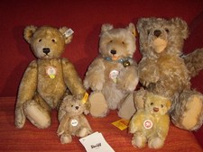 Für Sammler mehrere Steiffteddybären und ein Schucoteddy aus Sammlungsauflösung