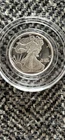 1/10 Oz Walking Liberty/Eagle .999 Silver Bullion Round Encapsulated