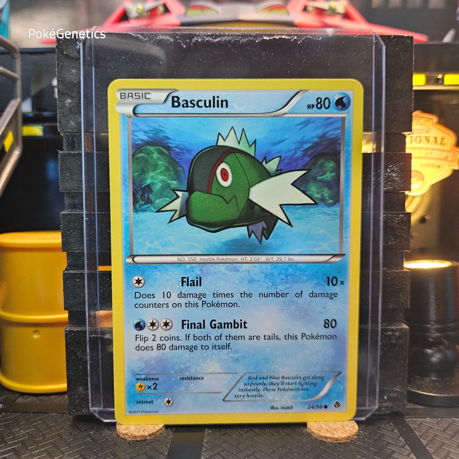 Basculin Emerging Powers Pokémon TCG 24/98 Black & White Common