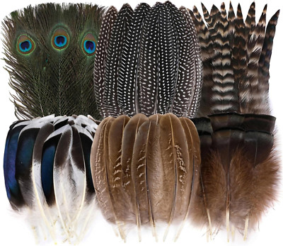 48Pcs Natural Feathers Bulk - 6 Styles 48Pcs Assorted Natural Feathers, Peacock 