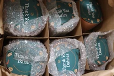 (6-Pk) Tiny Terracotta Thank You Daisies Seed Sprouting Kit MS-TT-1000