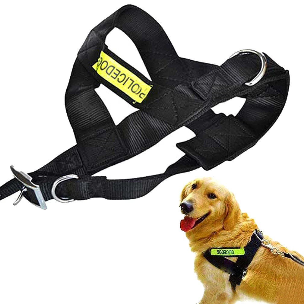 What Lead Is Best For A Dog That Pulls