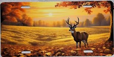 Whitetail Deer License Plate Whitetail Deer License Plate