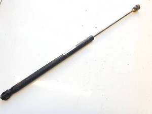 Gasdruckfeder Motorhaube  Ford Focus DE2541060-13