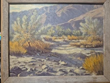 "Smoke Tree Symphony"