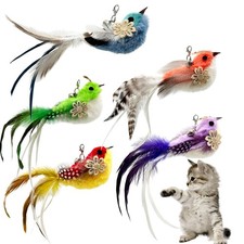 Cat Feather Toys Refill, 5 Pieces Cat Wand Attachments Feathers Bird Toy for ...