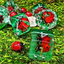 Sage's Red Ladybug Familiar Resin Polyhedral Dice Set