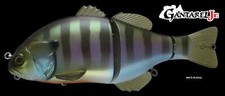 Jackall Gantarel Jr Swimbait - Choose Color