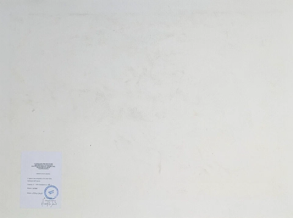 GIANNI DOVA (Roma, 1925 – Pisa, 1991) OPERA SERIGRAFIA con ARCHIVIO cm 60 x 80 - Immagine 4 di 4