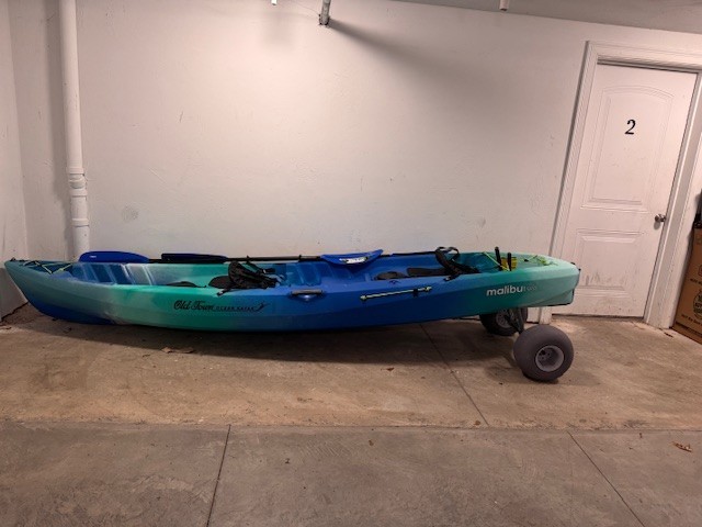 899 Dolly & Paddles Include