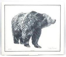 KODIAK BEAR Fine Art Sketch 14x12 Print by Ray Mangin Ltd Ed Signed Animal