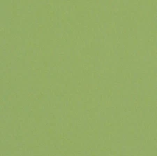 Sunbrella® Indoor/Outdoor Upholstery Fabric - Canvas GINKGO 54011-0000 BTY