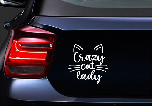 Crazy Cat Lady Car Laptop Motorbike Vinyl Decal Sticker (ia) - Picture 3 of 10