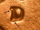 Picture 1 of 3