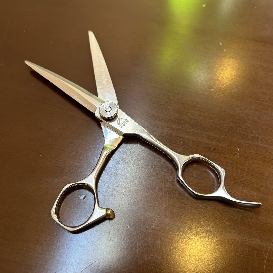 Mizutani Scissors ACRO STELLITE Aloy 6.0inch | eBay