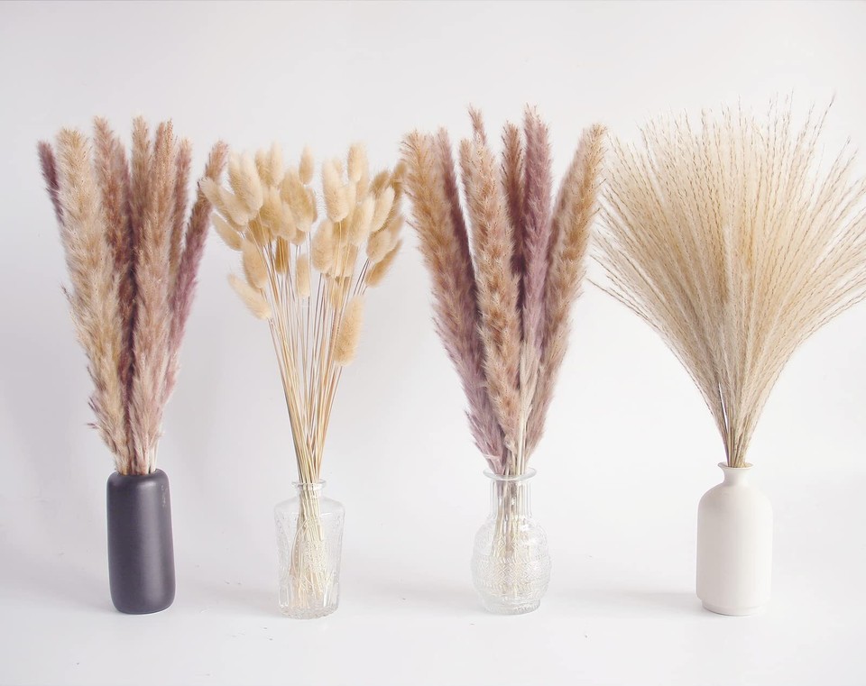 Natural Dried Pampas Grass Decor, Brown Pampas Grass， Bunny Tails Dried