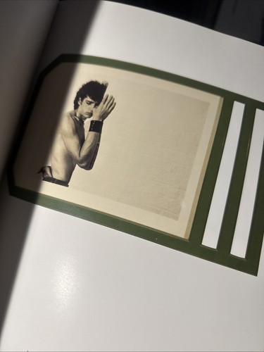 Robert Mapplethorpe Whitney Museum Of Art 1988 Softcover Nudity Gay Men Etc - Picture 4 of 4