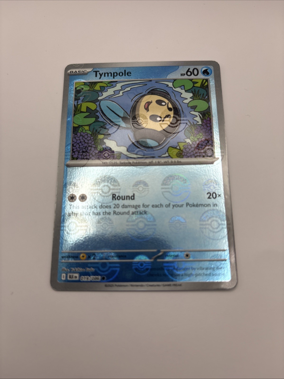 Tympole Poke Ball #19 Holo Pokemon Sv11B: Black Bolt Card