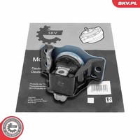 SKV Motor Lagerung Rechts FüR Dacia Logan Renault I Megane II 02-12 8200042456