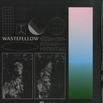 Wastefellow / POST HUMAN POTENTIAL / Soft Boy Records / SB002 / 12 Inch