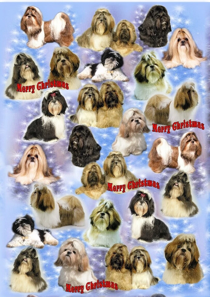 Shih Tzu Dog Christmas Gift Wrapping Paper - by Starprint