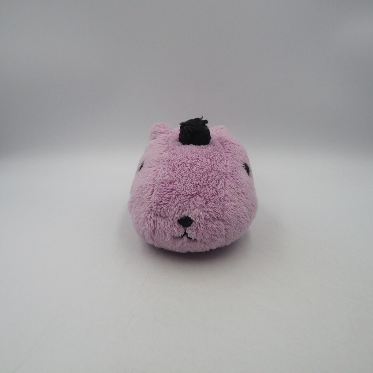 Capybara-san C1603 Purple KAPIBARA-SAN Tryworks Plush 4