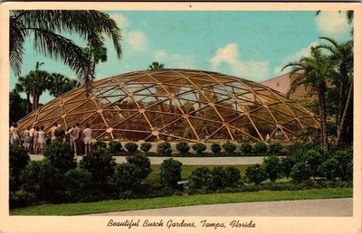 Vintage Busch Gardens Tampa Florida Geodesic Dome Postcard 1961