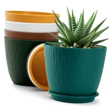 Plant Pots – Planters with Drainage Holes and Saucers, Flower 6 Inch Multicolor