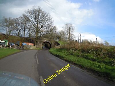 Foto 12x8 Wildschwein Eisenbahn Brücke Scayne's Hill c2012