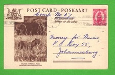 1952 Port Elizabeth Kruger Lion PPC "Money for Music" Concorso 67 Sussurri